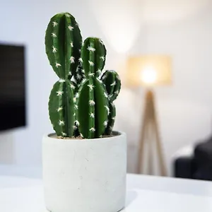 https://loft-en-el-corazon-de-cadiz.es-andalucia.com